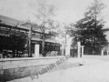 1_p1020006ehime